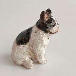 フレンチブルドッグ（french bulldog） 6枚目の画像