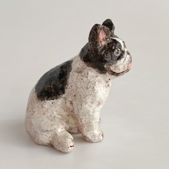 フレンチブルドッグ（french bulldog） 6枚目の画像