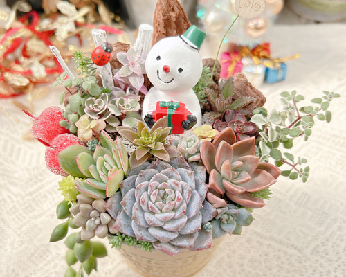 ツリー寄せ*そのまま飾れる多肉植物の寄せ植え*クリスマス寄せ　雪だるま ツリー寄せ*そのまま飾れる多肉植物の寄せ植え*クリスマス寄せ