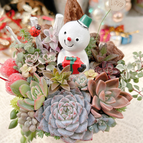 送料無料】多肉の森 〜雪だるまさんのクリスマス〜多肉植物寄せ植え