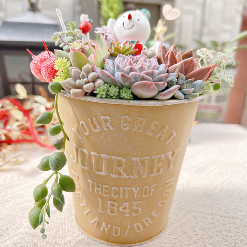 ツリー寄せ*そのまま飾れる多肉植物の寄せ植え*クリスマス寄せ　雪だるま 57fd483301b92fb22cdea956652c4d