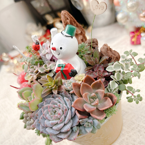 送料無料】多肉の森 〜雪だるまさんのクリスマス〜多肉植物寄せ植え