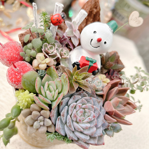 送料無料】多肉の森 〜雪だるまさんのクリスマス〜多肉植物寄せ植え
