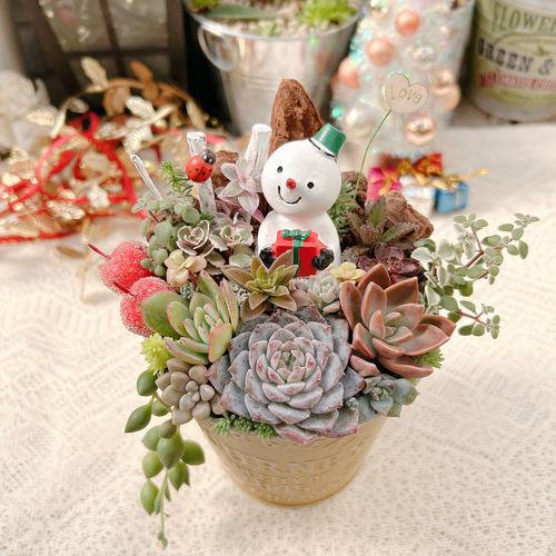 送料無料】多肉の森 〜雪だるまさんのクリスマス〜多肉植物寄せ植え