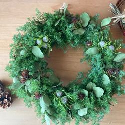 特大ユーカリリース　ワイルドフラワー フレッシュなユーカリ2~3種類の大きなスワッグ🌿 セール価格で販売し