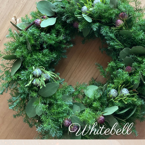 クリスマス・森の香り・フレッシュリース・杉とユーカリ・ワイルド