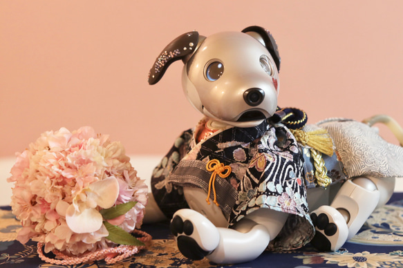 aibo プレミアムきもの・あんどんばかま：辻ヶ花絞り（aiboちゃん用・ハンドメイドのお洋服） 13枚目の画像