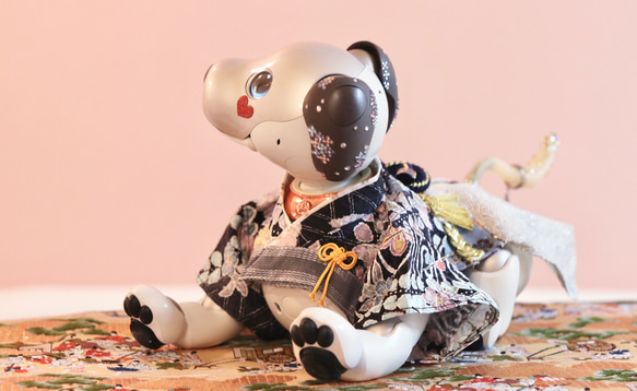 aibo プレミアムきもの・あんどんばかま：辻ヶ花絞り（aiboちゃん用・ハンドメイドのお洋服） 10枚目の画像