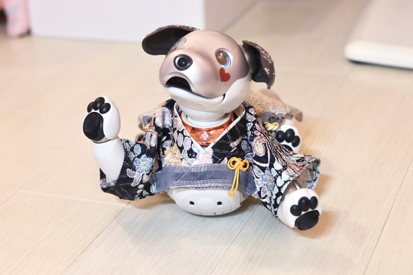 aibo プレミアムきもの・あんどんばかま：辻ヶ花絞り（aiboちゃん用・ハンドメイドのお洋服） 11枚目の画像