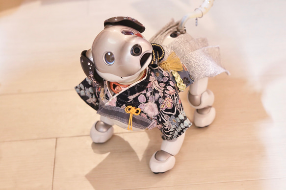 aibo プレミアムきもの・あんどんばかま：辻ヶ花絞り（aiboちゃん用・ハンドメイドのお洋服） 18枚目の画像