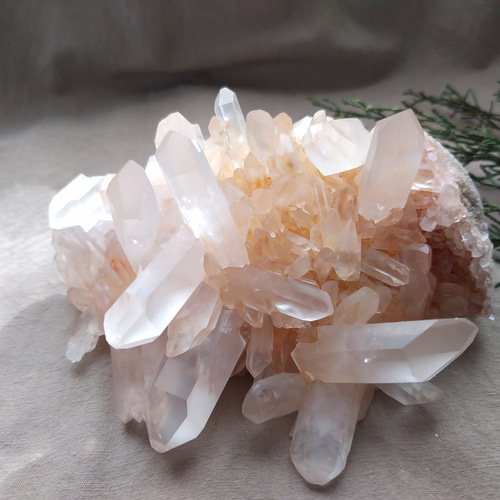 レムリアンシード クラスター / J その他インテリア雑貨 Clear 通販