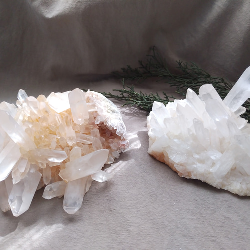 レムリアンシード クラスター / J その他インテリア雑貨 Clear 通販