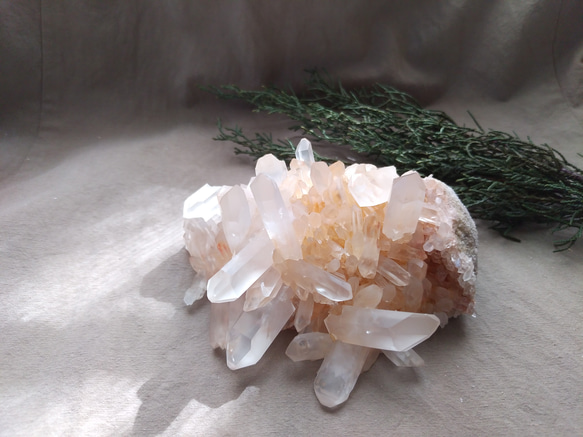 レムリアンシード クラスター / J その他インテリア雑貨 Clear 通販