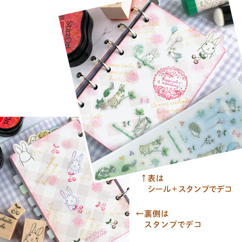 在庫少【ミニ6穴 ひょっこり動物インデックス】 シール付 覗く動物たち