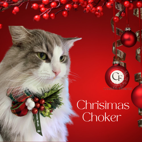 OPENセール・クリスマス ペットチョーカー/ 犬・猫フラワーチョーカー