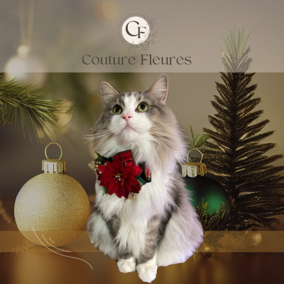OPENセール・クリスマス ポインセチア ペットチョーカー/ 犬・猫フラワーチョーカー 1枚目の画像