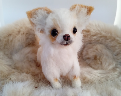 羊毛フェルトチワワ　tcht いちごちゃん (о´∀`о) 骨格もずっしりむちむちチワワちゃん
