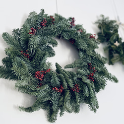 Christmas wreath - 聖誕花圈/諾貝松花圈 第1張的照片