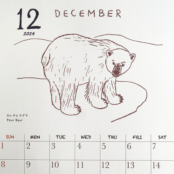 2024絶滅危惧種カレンダー　壁掛けタイプ（日曜始まりと月曜始まり選べます♪） 16枚目の画像