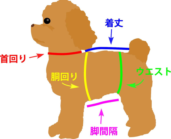 わんちゃん用　ハーネス　犬用ハーネス　L　ドット　可愛いハーネス 4枚目の画像