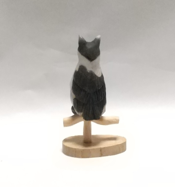 猫フクロウ(黒ぶち) 3枚目の画像