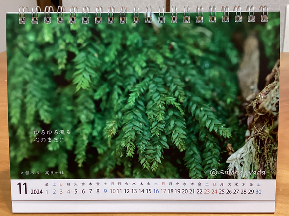 苔ふぉとカレンダー「本日も苔。2024」 7枚目の画像