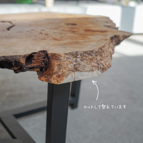 ポプラの一枚板 ローテーブル リビングテーブル ローテーブル