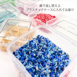 数量限定【 かすみそう 花びら 小分け 】 ドライフラワー 少量 ネイル 花材 レジン 材料 封入 素材 花素材 9枚目の画像