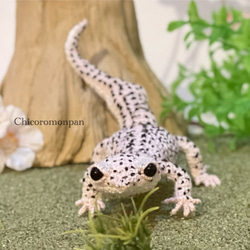 3eea8730b446e19205aed0158d6147