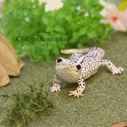 あみぐるみレオパ スーパーマックスノー あみぐるみ Chicoromonpan