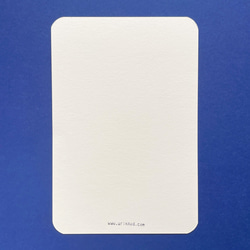 冬のグリーティングカード 封筒set -青い鳥アオカケス- 4枚目の画像