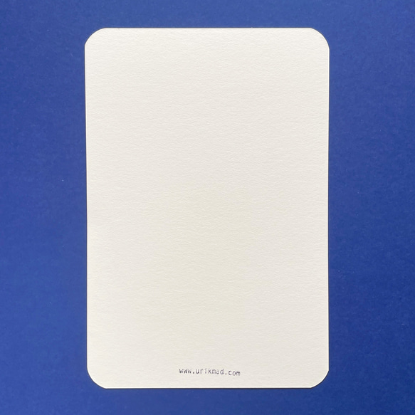 冬のグリーティングカード 封筒set -青い鳥アオカケス- 4枚目の画像