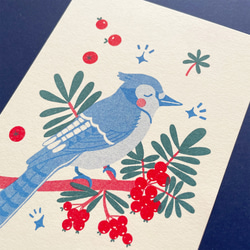 冬のグリーティングカード 封筒set -青い鳥アオカケス- 2枚目の画像