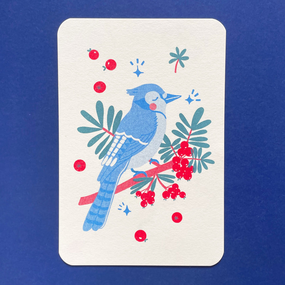 冬のグリーティングカード 封筒set -青い鳥アオカケス- 3枚目の画像