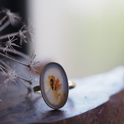 dendritic agate brass ring (teriha) 5枚目の画像