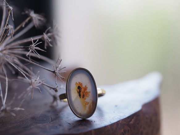 dendritic agate brass ring (teriha) 5枚目の画像