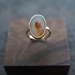 dendritic agate brass ring (teriha) 6枚目の画像