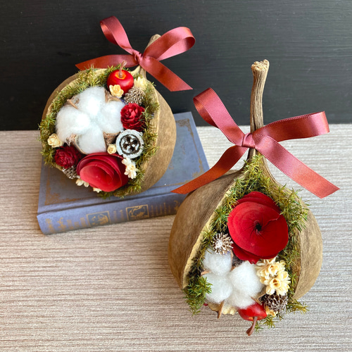 一点物【クリスマス】個性が可愛いブッダナッツ バーガンディ