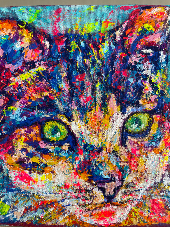 Coton 3枚目の画像