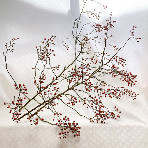 バラの実 イノバラの実 野バラの実 北海道花材 クリスマス花材