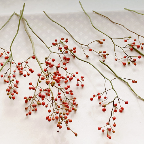 北海道バラの実 イノバラの実 ローズヒップ クリスマス花材 ドライ