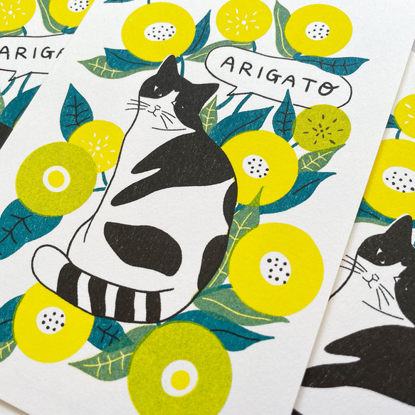 ARIGATOカード 封筒set -お花とハチワレ猫- 4枚目の画像