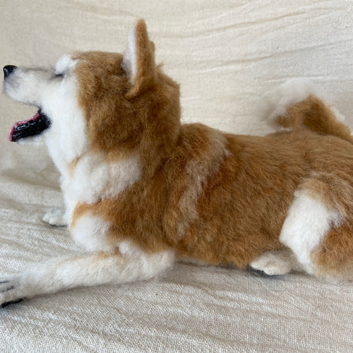 羊毛フェルト♡伏せをする柴犬 Yahoo!オークション - 羊毛フェルト 犬 柴犬 子犬