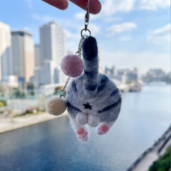 羊毛にゃんたま 猫けつω（アメショ）キーホルダー 可愛い二色玉付き