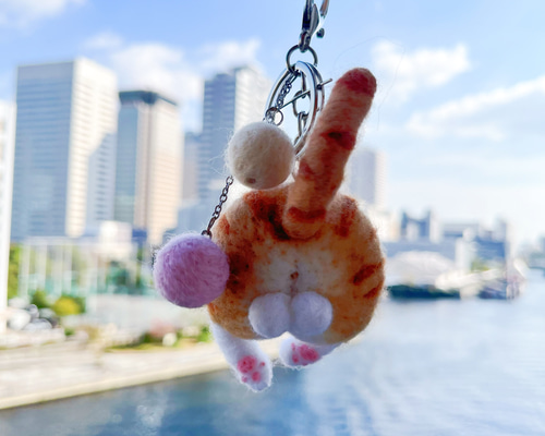 ae1f9bdbc966cbc3b39bfe1e1b3b51