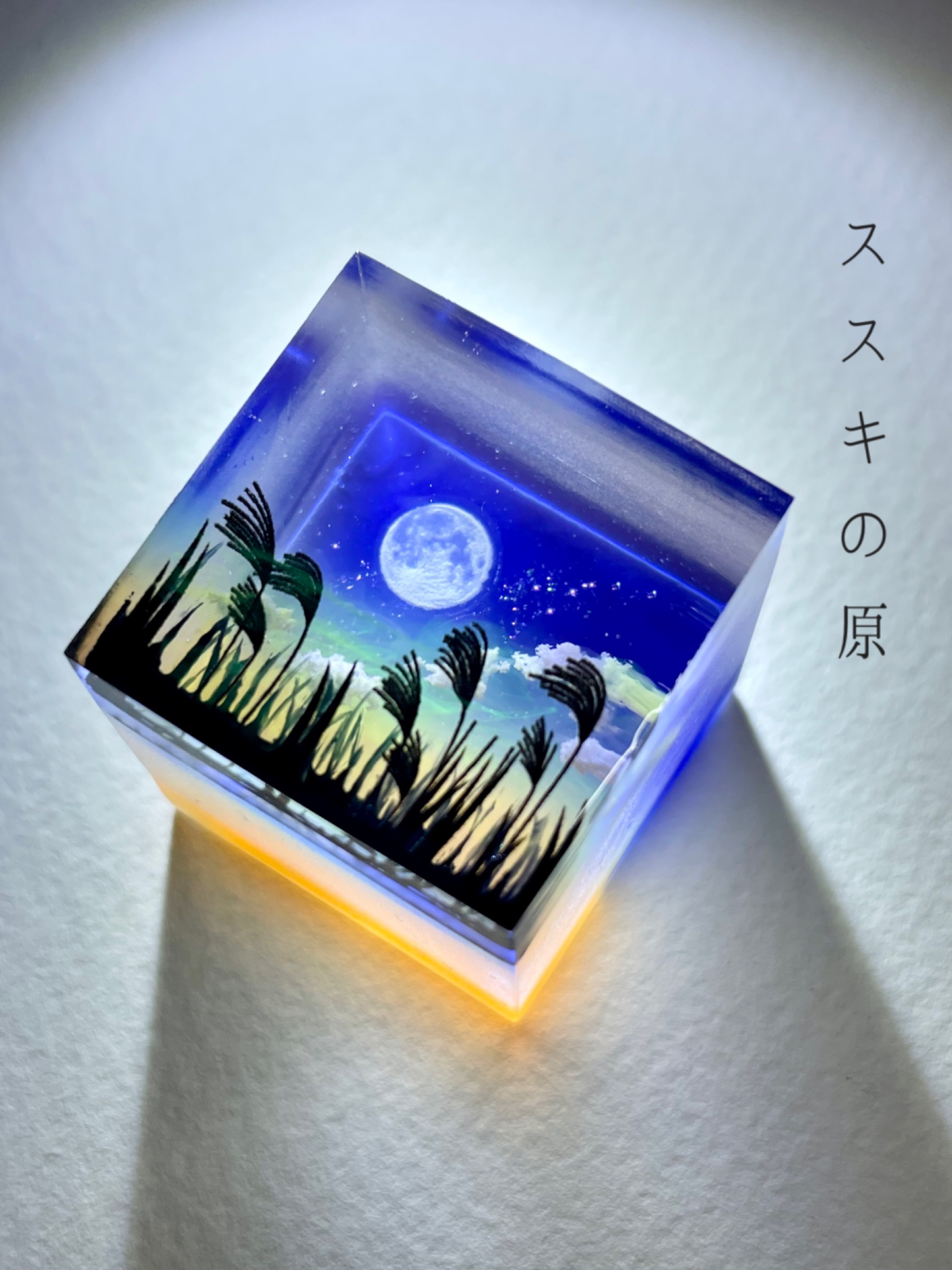 【受注制作/S size】情景レジン-ススキの原 8,520円