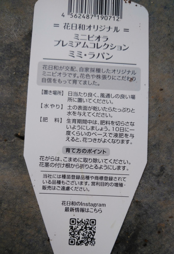 花日和さんオリジナル　極小ビオラ　ミミラパン　２ポットセット 14枚目の画像