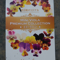 花日和さんオリジナル　極小ビオラ　ミミラパン　２ポットセット 13枚目の画像