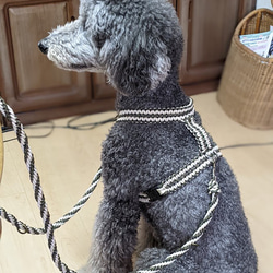 「Ｃさまオーダー品」大型犬用 (全長100ｃｍ)　カラーお揃いのハーネスもあります 4枚目の画像