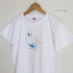 p-jet　新作2023　セキセイインコ  白ハルクイン  Tシャツ　 /  鳥 インコ 2枚目の画像